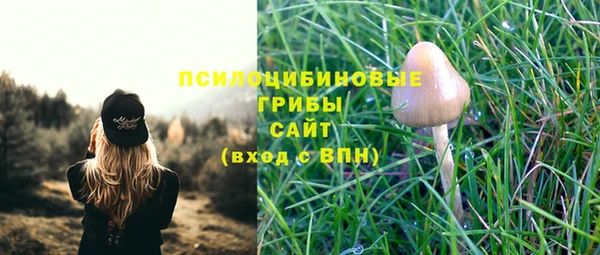 прущие крисы Аркадак