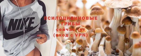 прущие крисы Аркадак