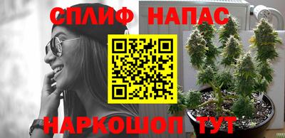 винт Берёзовский