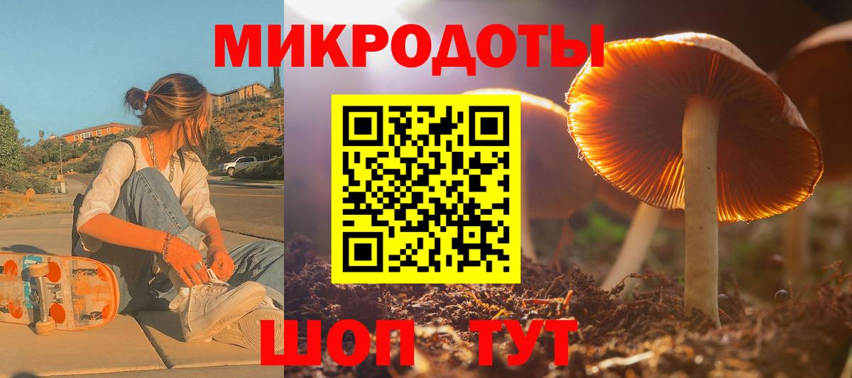 Псилоцибиновые грибы Cubensis Буйнакск