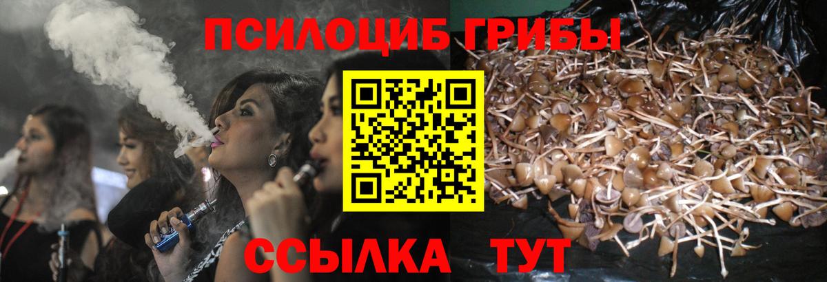 Галлюциногенные грибы MAGIC MUSHROOMS  Вход с VPN  Буйнакск  Галлюциногенные грибы GOLDEN TEACHER 